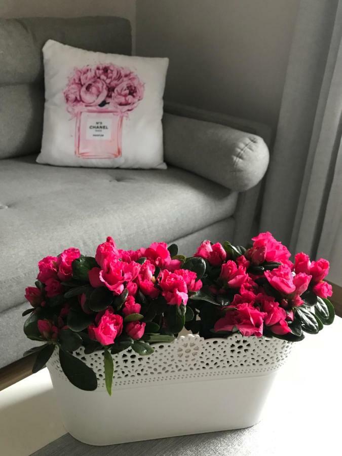 סופוט Glamour Apartment Przy Plazy, Z Parkingiem Prywatnym מראה חיצוני תמונה